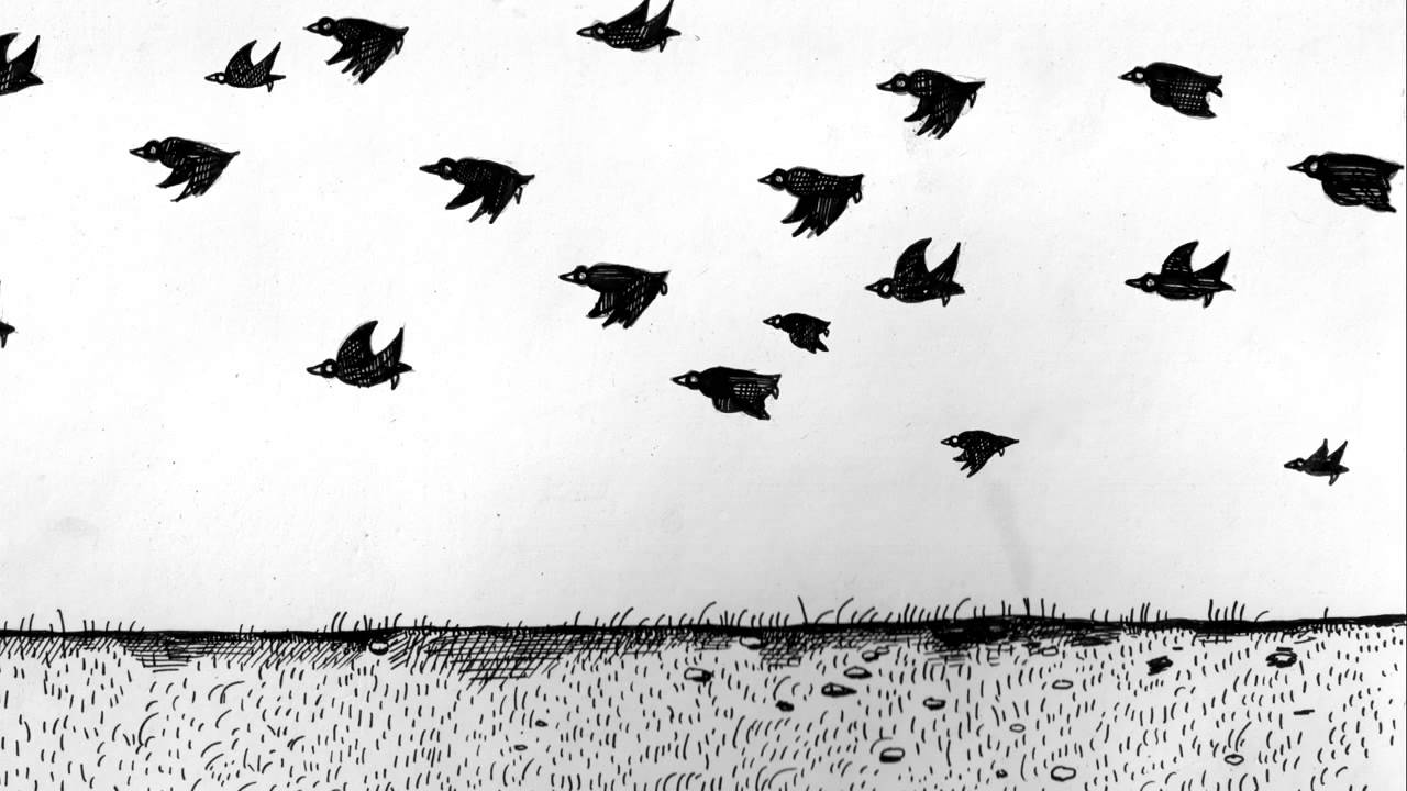 There's too many of these crows 