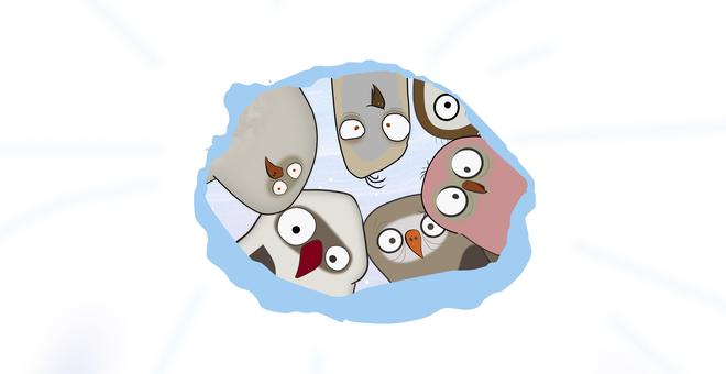 Huhu: pole hole